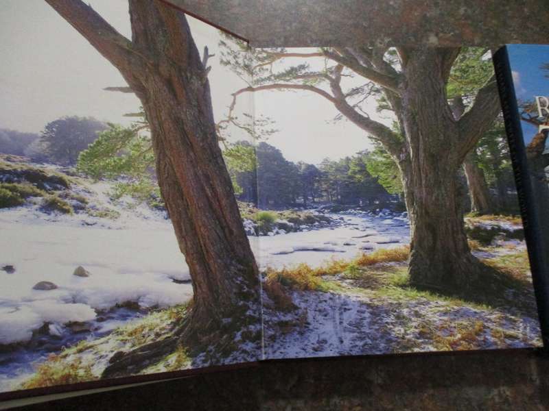 Meetings with Remarkable Trees  and Remarkable Trees  of the World THOMAS PAKENHAM