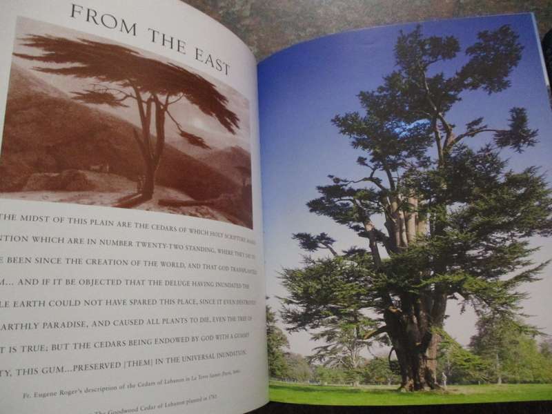 Meetings with Remarkable Trees  and Remarkable Trees  of the World THOMAS PAKENHAM