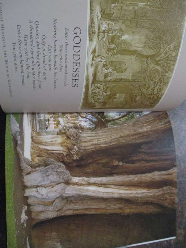 Meetings with Remarkable Trees  and Remarkable Trees  of the World THOMAS PAKENHAM
