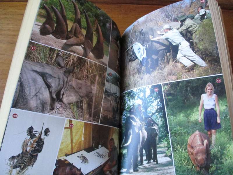 The Rhino Keepers  Struggle for Survival Clive & Anton Walker