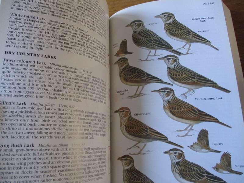Birds of East Africa  Kenya, Tanzania, Uganda, Rwanda, Burundi  Terry Stevenson and John Fanshawe