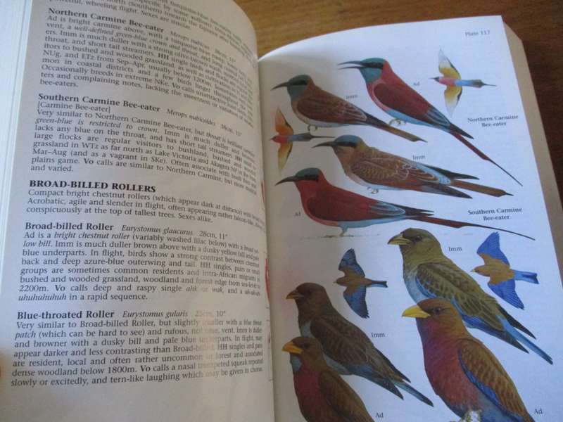Birds of East Africa  Kenya, Tanzania, Uganda, Rwanda, Burundi  Terry Stevenson and John Fanshawe