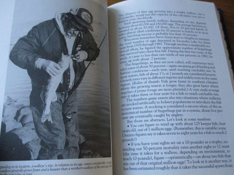 Walleye Tactics, Tips & Tales  Mark Strand