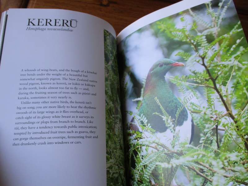 Our New Zealand a celebration of National Treasure & Pleasures