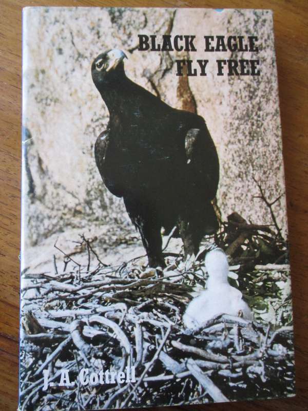 BLACK EAGLE FLY FREE  J.A. Cottrell