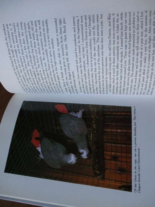 The Grey Parrot Wolfgang de Grahl