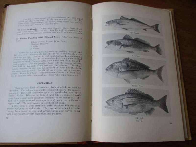 FISH FARE for South Africans  by Hilda Gerber