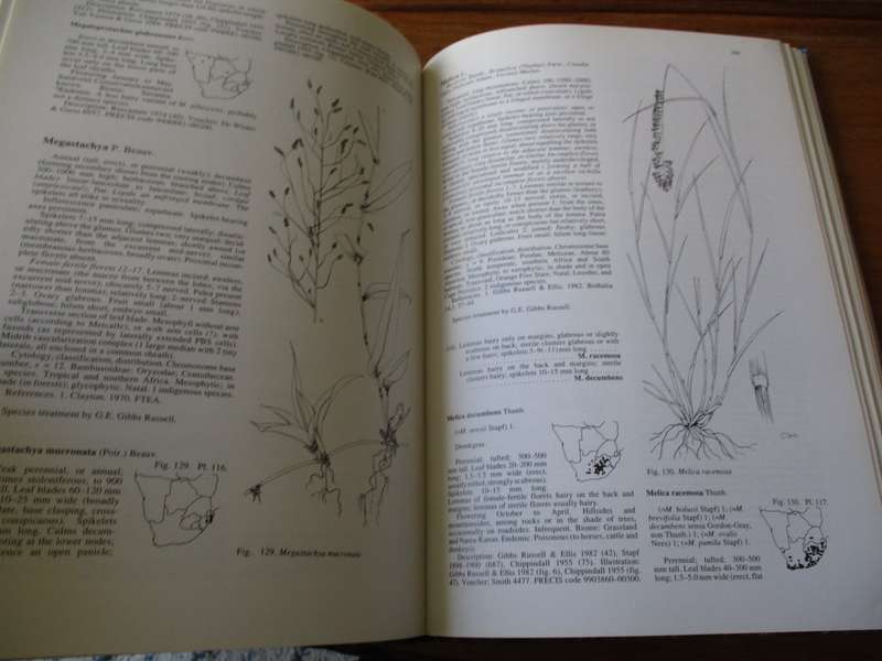 Grasses of southern Africa Gibson, Watson, Koekemoer, Smook, Barker, Anderson, Dallwitz