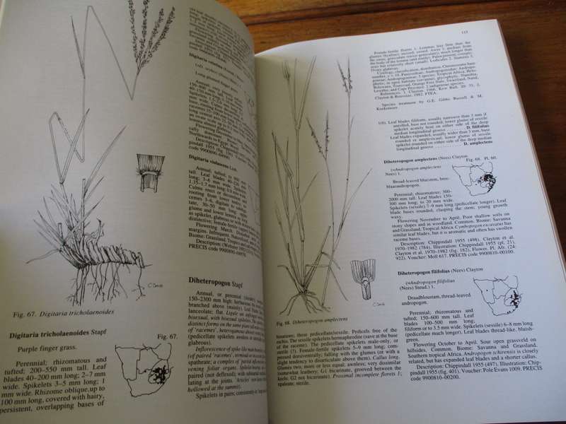 Grasses of southern Africa Gibson, Watson, Koekemoer, Smook, Barker, Anderson, Dallwitz