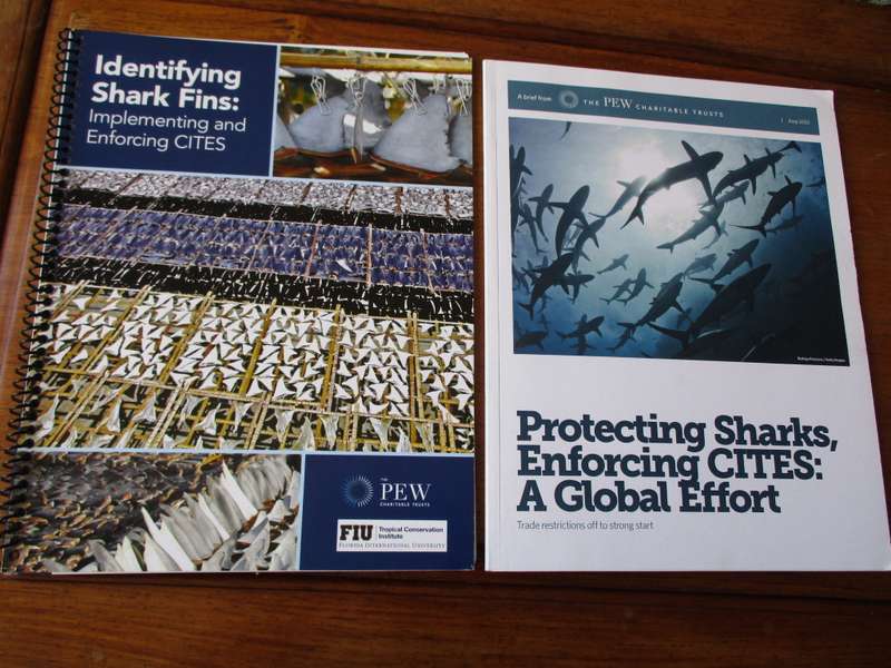 Protecting Sharks, Enforcing CITES/ Identifying Shark Fins Implementing and Enforcing CITES