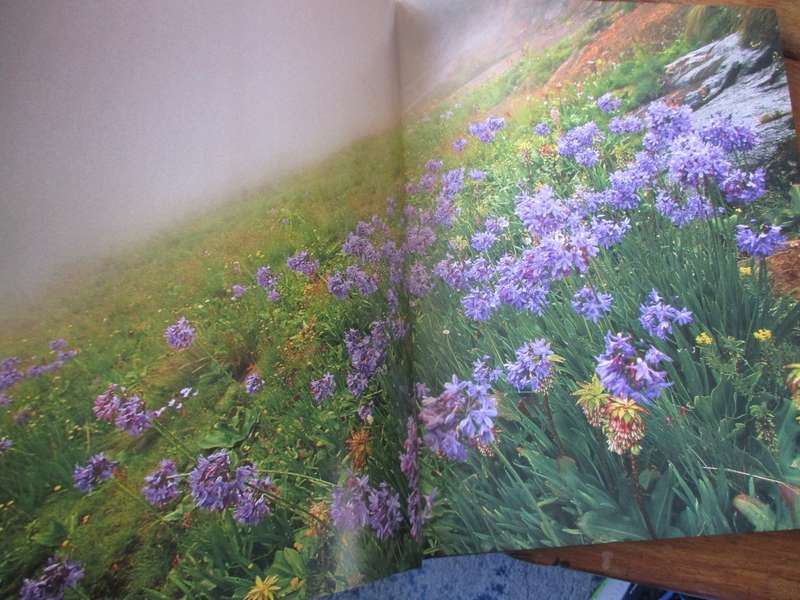 art of nature Heinrich van den Berg