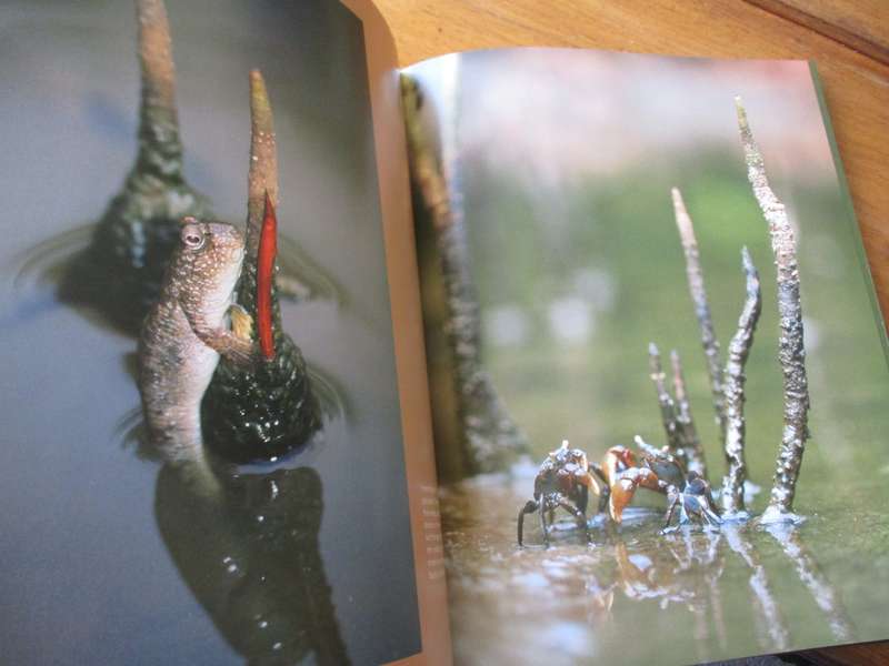 art of nature Heinrich van den Berg