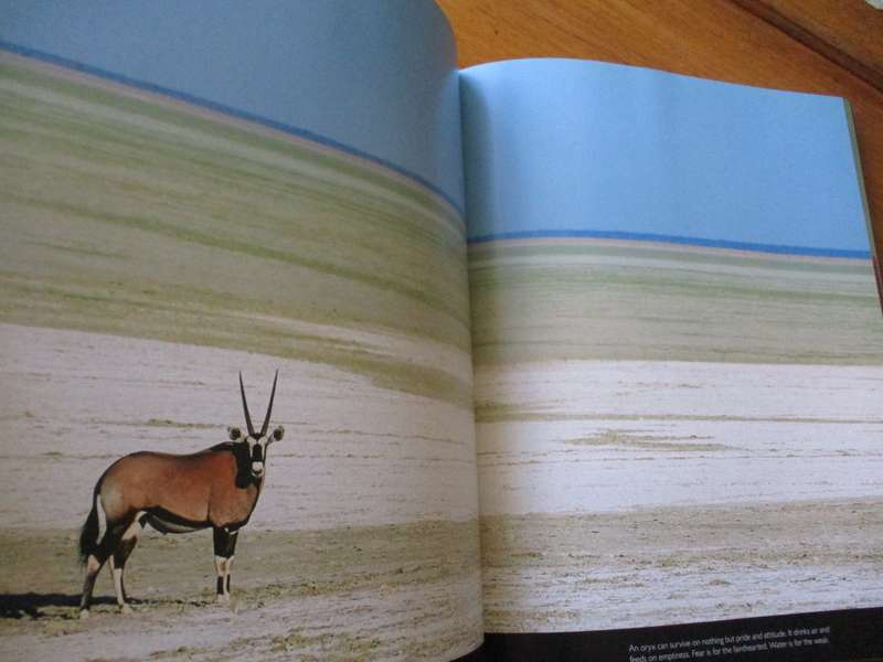art of nature Heinrich van den Berg