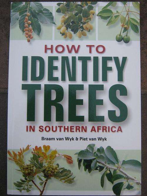 HOW TO IDENTIFY TREES IN SOUTHERN AFRICA. Braam van Wyk and Piet van Wyk