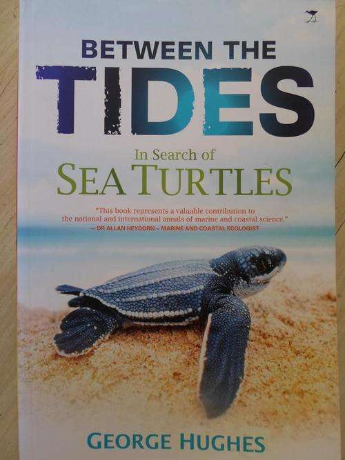 In Search of Sea Turtles. BETWEEN THE TIDES. George Hughes