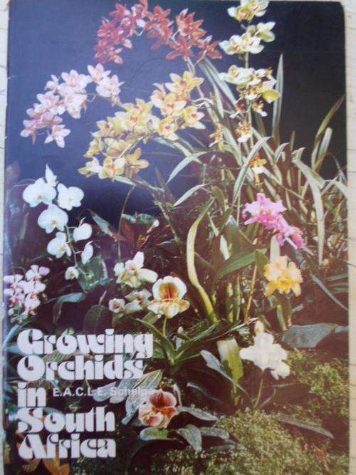 GROWING ORCHIDS IN SOUTH AFRICA