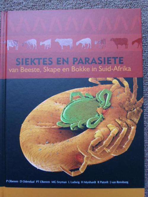 SIEKTES EN PARASIETE BY SKAPE EN BOKKE IN SUID-AFRIKA