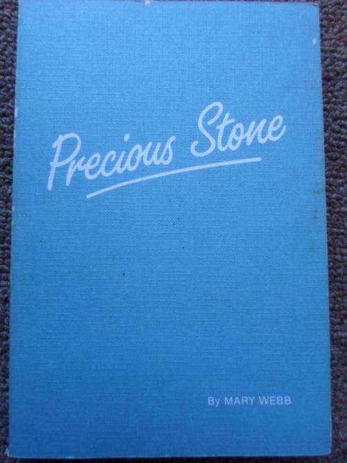 PRECIOUS STONE. The life and works of MARY STAINBANK
