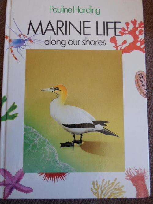 MARINE LIFE ALONG OUR SHORES. South African Marine Life