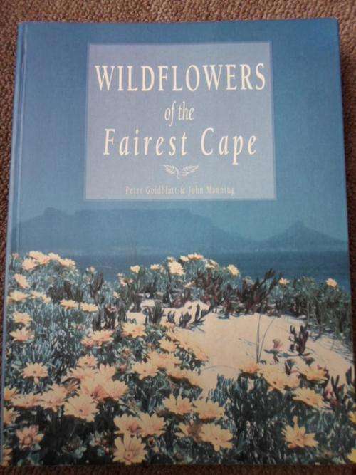 WILDFLOWERS OF THE FAIREST CAPE. The Wildflowers of the Western Cape. Peter Goldblatt & John Manning