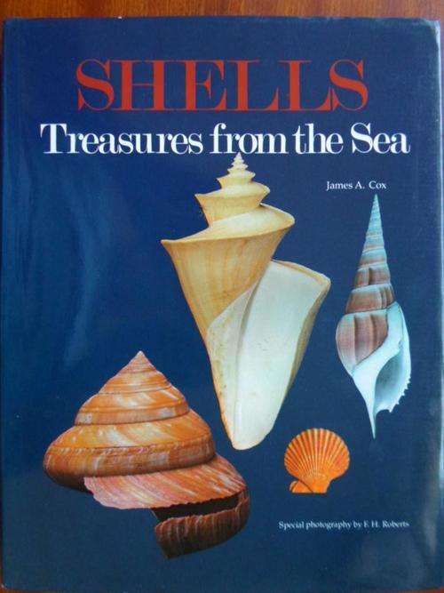 SHELLS - Treasures from the Sea. James E Cox