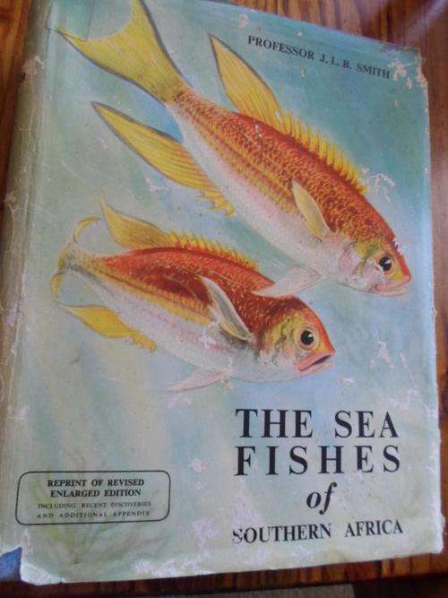 THE SEA FISHES OF SOUTHERN AFRICA - J.L.B. SMITH