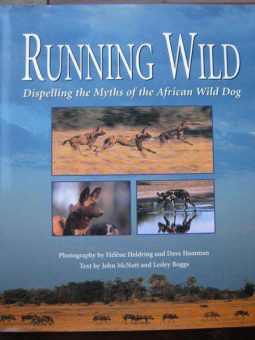 Running Wild. THE AFRICAN WILD DOG