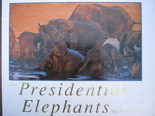 The Presidential Elephants of Zimbabwe