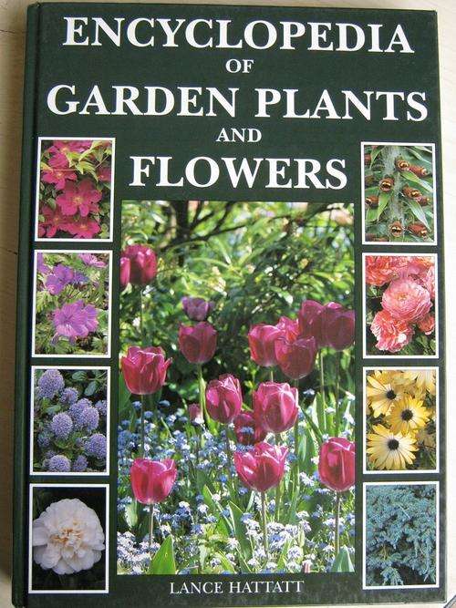 Encyclopedia of GARDEN PLANTS and FLOWERS. Lance Hattatt