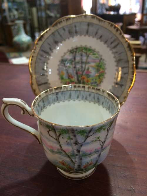 ROYAL ALBERT 'SILVER BIRCH' CUP AND SAUCER.