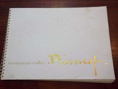 PIERNEEF - AANDENKINGSBROSJURE OOR SKILDERYE