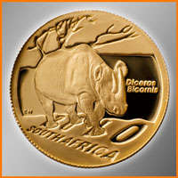 Natura 2010 Black Rhino