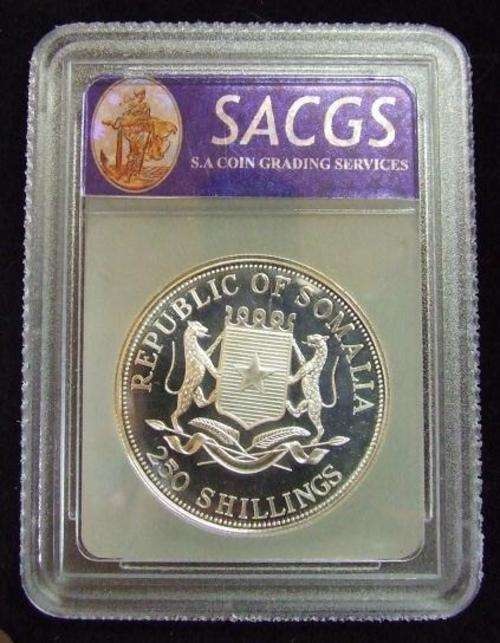 Nelson Mandela Graded