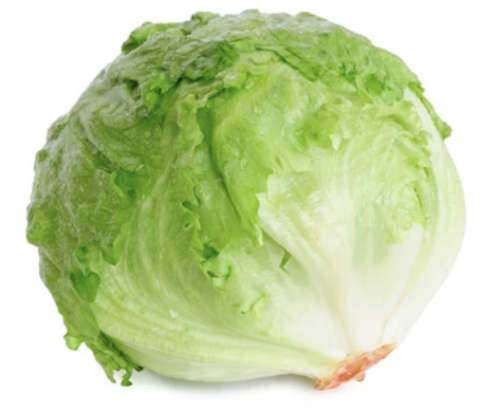 Lettuce Crisp Great Lakes - 200 Seeds