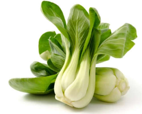 Pak Choi White Stemmed - 75 Seeds