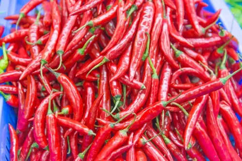 Chilli - Cayenne - 12 Seeds