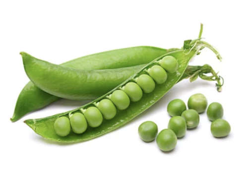 Pea Kelvedon Wonder - 30 Seeds