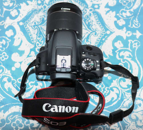 Canon 100D with 18-55mm EF-S lens