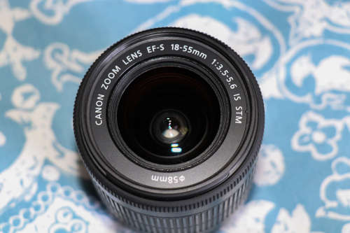 Canon 100D with 18-55mm EF-S lens