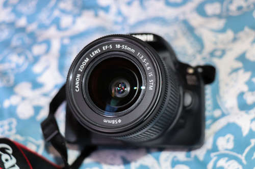 Canon 100D with 18-55mm EF-S lens