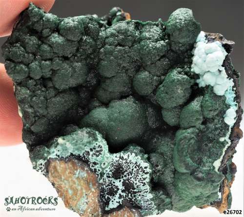 Chrysocolla Malachite Libethenite Heterogenite, Katanga Copper Crescent, Congo DRC