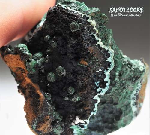 Chrysocolla Malachite Libethenite Heterogenite, Katanga Copper Crescent, Congo DRC