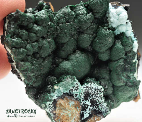 Chrysocolla Malachite Libethenite Heterogenite, Katanga Copper Crescent, Congo DRC