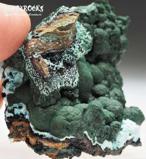 Chrysocolla Malachite Libethenite Heterogenite, Katanga Copper Crescent, Congo DRC