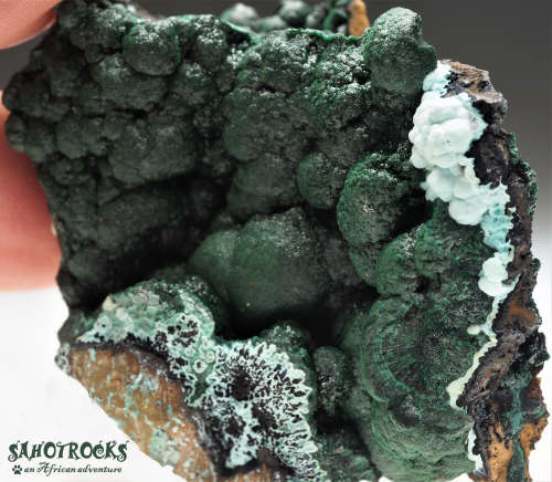 Chrysocolla Malachite Libethenite Heterogenite, Katanga Copper Crescent, Congo DRC