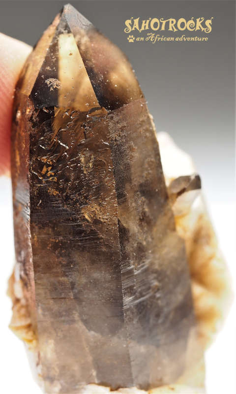 Lemurian Seed Crystal Wand - Quartz, A-Feldspar - Mount Malosa, Malawi