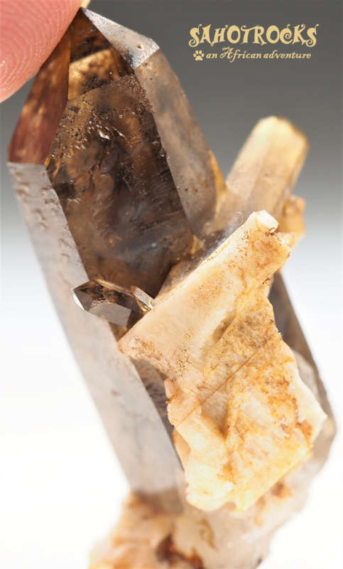 Lemurian Seed Crystal Wand - Quartz, A-Feldspar - Mount Malosa, Malawi