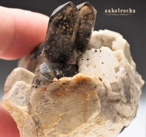Aegirine Goethite, Smokey Quartz A-Feldspar RECORD KEEPER - Mount Malosa, Malawi