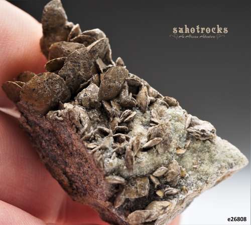Siderite, Calcite, Quartz - Gobobosep, Namibia