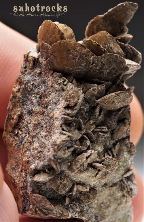 Siderite, Calcite, Quartz - Gobobosep, Namibia